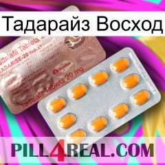 Тадарайз Восход new13